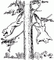 image036