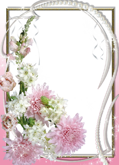 chrysanthemums